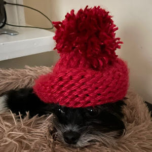 Meet your Posher, Eightbit